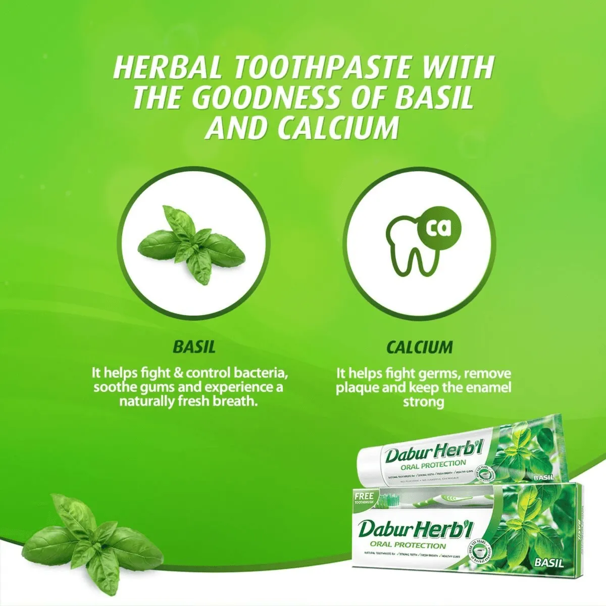 Dabur Herbal Basil Oral Protection Toothpaste With Tooth Brush Free - 150g