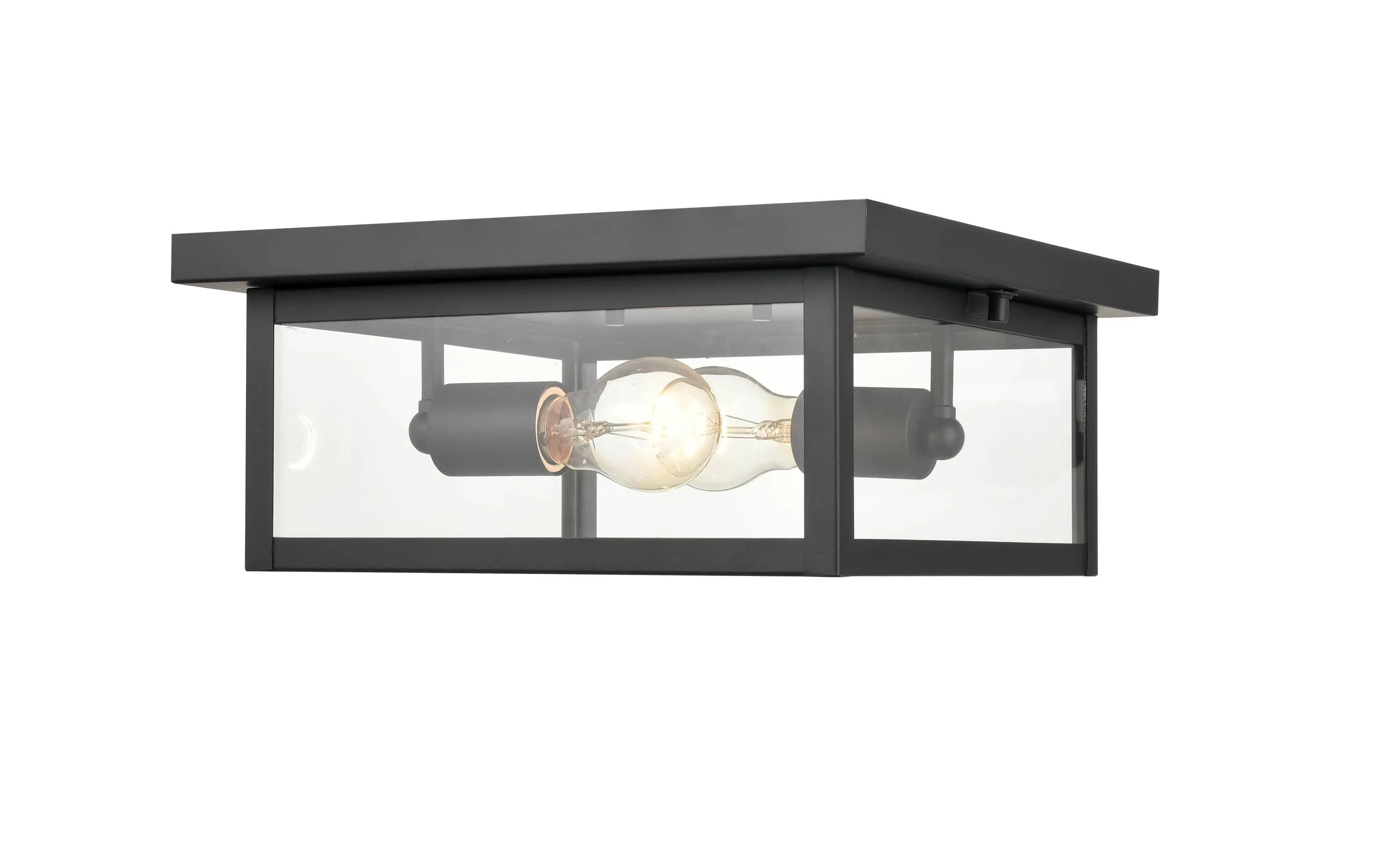 Evanton Outdoor Flush Mount Fixture - Powder Coated Black - Clear Glass - 12in. Diameter - E26 Medium Base