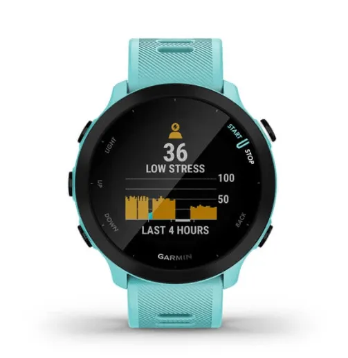 Garmin Forerunner 55 Smartwatch