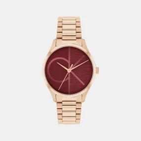 Iconic Unisex Burgundy Analog Stainless Steel Watch 25200347